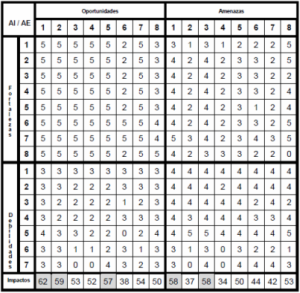 Ejemplo de matriz DAFO